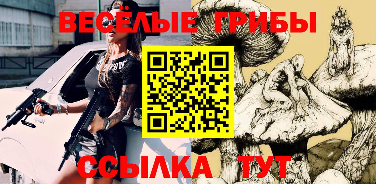 Галлюциногенные грибы мицелий  Вход с VPN  Рассказово 