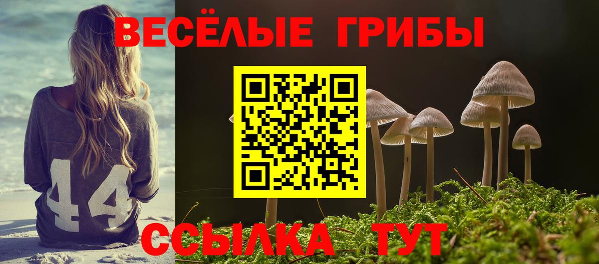 Галлюциногенные грибы GOLDEN TEACHER Рассказово